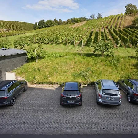 Casa de hóspedes Gaestehaus Lenartz-beth Mesenich