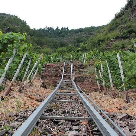 게스트하우스 Gaestehaus Lenartz-beth 메세니흐