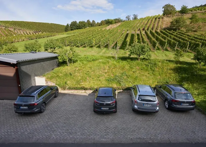 Penzion Gaestehaus Lenartz-beth Mesenich