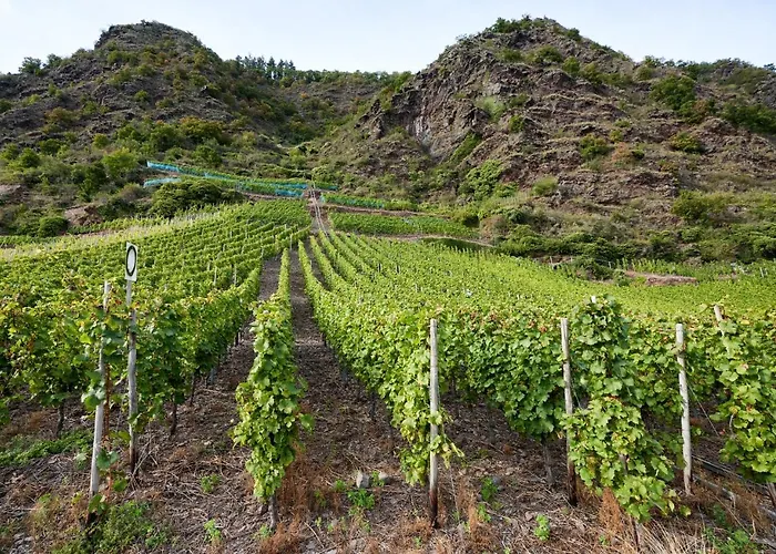 Gaestehaus Lenartz-beth Casa de hóspedes Mesenich