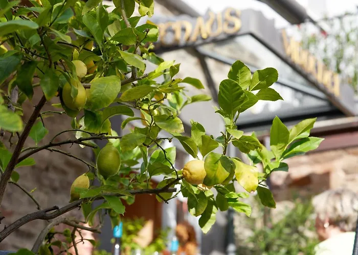 Gaestehaus Lenartz-beth Casa de hóspedes