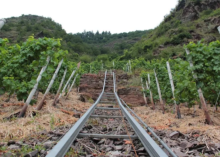 Casa de hóspedes Gaestehaus Lenartz-beth Mesenich