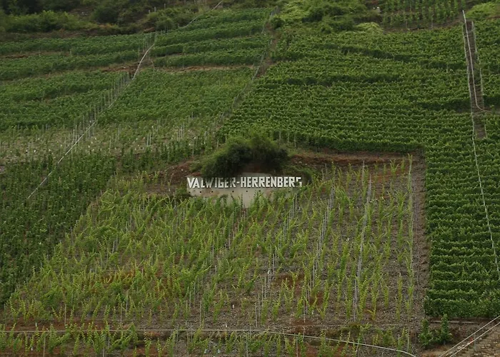 Casa de hóspedes Gaestehaus Lenartz-beth